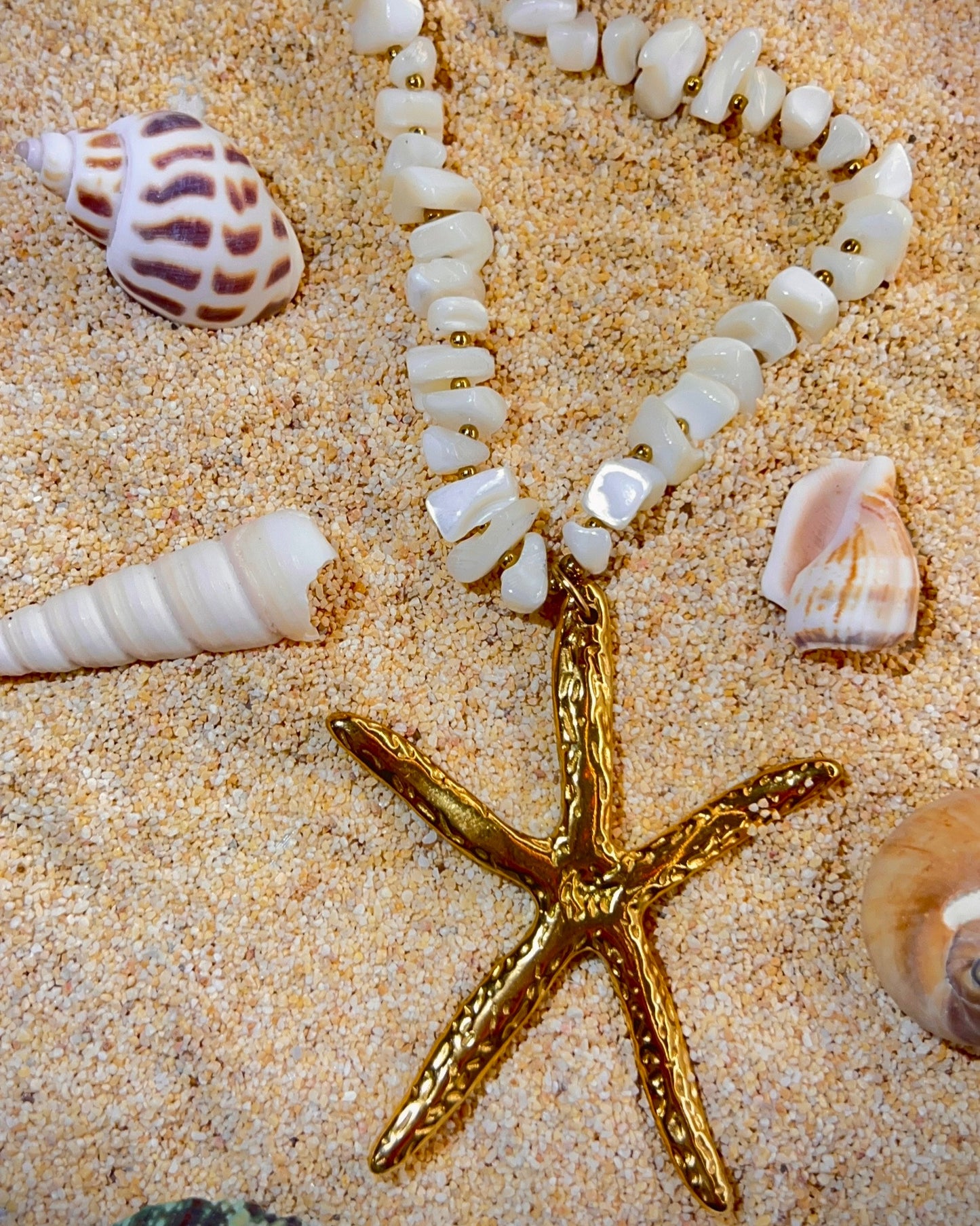 Estrella de mar