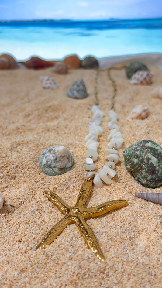 Estrella de mar