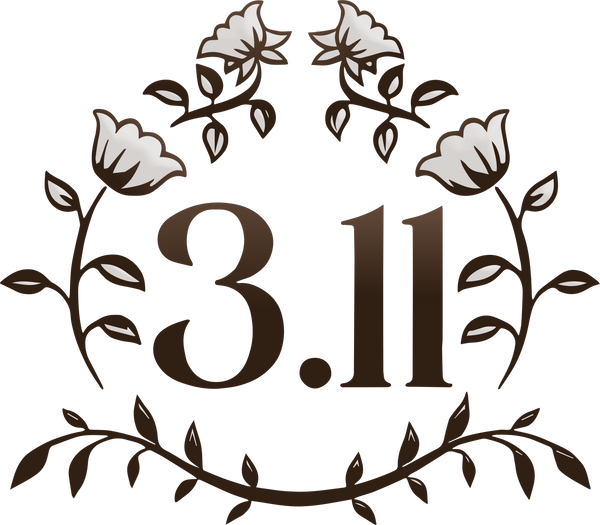 3.11Jewelry