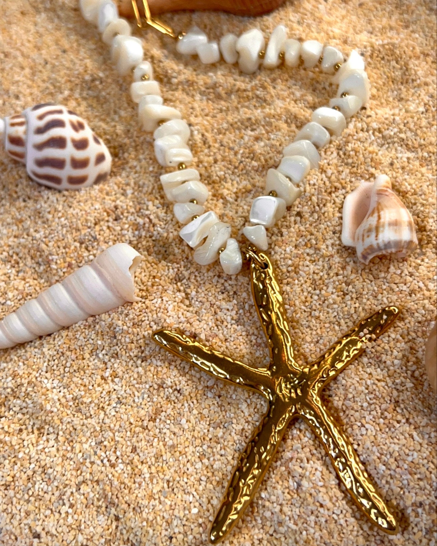 Estrella de mar